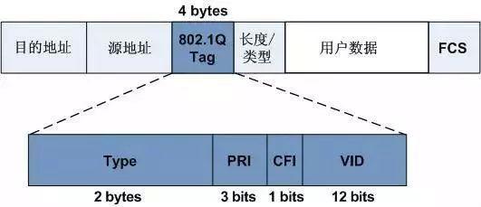 男人看片网址的VLAN技术